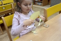 IMG_20251204_075434994_BURST000_COVER